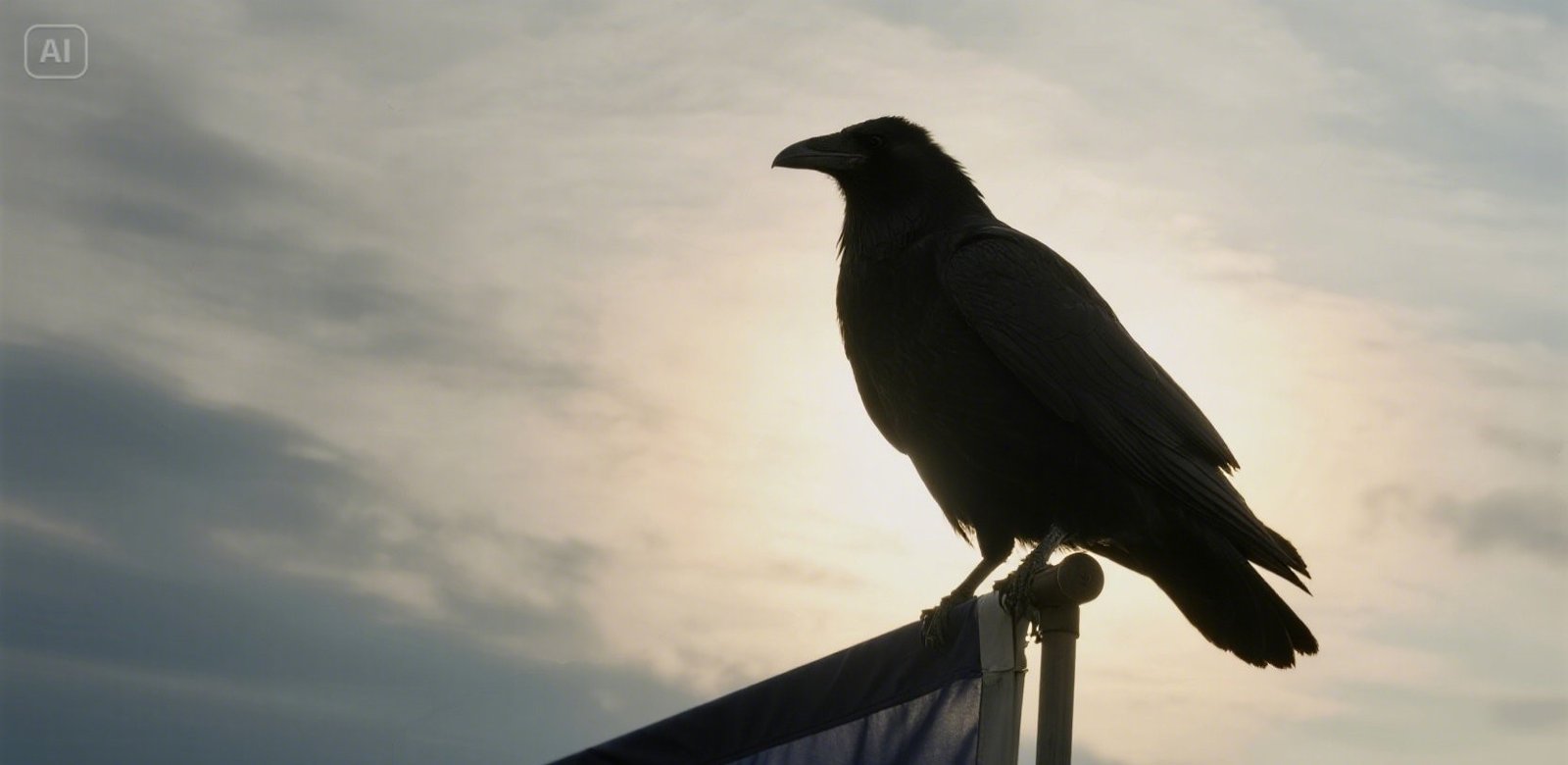 A black crow perched solemnly on a national flag, centered over a sacred symbol, with a moody sky in the background.