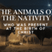 Animals present at the Nativity scene including the donkey, ox, and sheep gathered around the manger at the birth of Jesus.