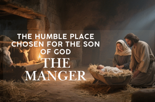 Mary and Joseph kneeling beside the infant Jesus laid in a manger surrounded by animals, symbolizing humility and the birth of Christ