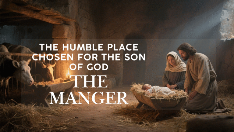 Mary and Joseph kneeling beside the infant Jesus laid in a manger surrounded by animals, symbolizing humility and the birth of Christ