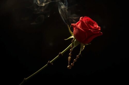 Single red rose with rosary beads symbolizing Saint Rita of Cascia, Marian devotion, and the spiritual meaning of roses in Catholic tradition.